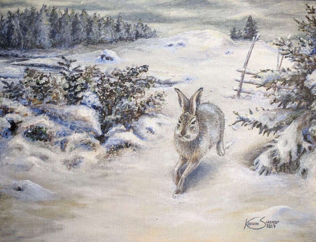 Hare in winter landscape